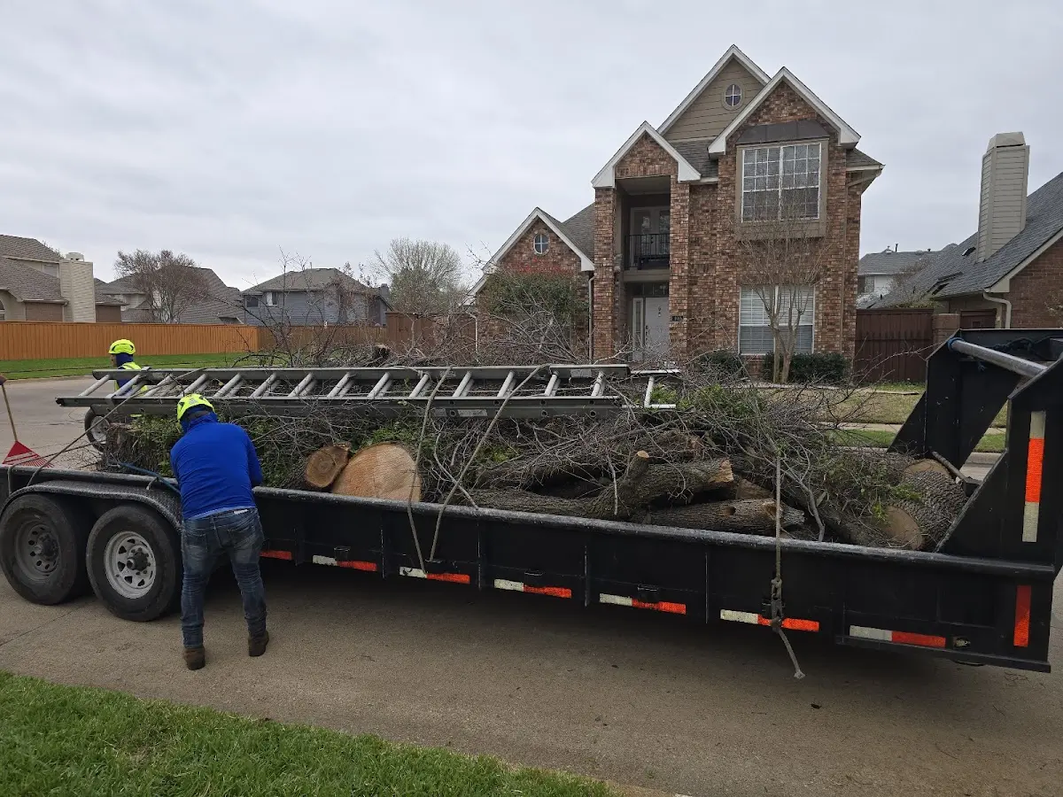 Expert Lot Clearing with proper safety equipment in Belvidere